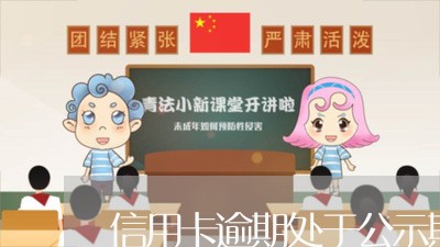 信用卡逾期处于公示期吗/2023060396461