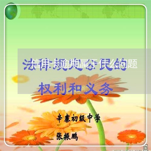 信用卡逾期属于什么问题/2023060146148