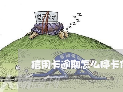 信用卡逾期怎么停卡停息/2023051060583