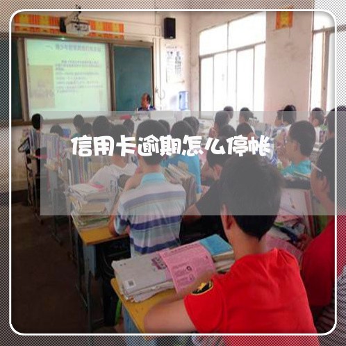 信用卡逾期怎么停帐/2023112643625