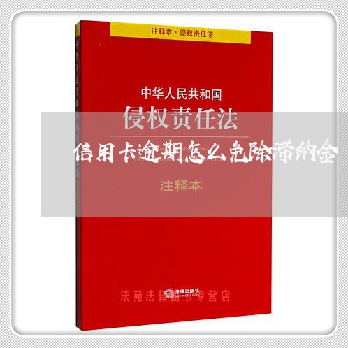 信用卡逾期怎么免除滞纳金/2023051240615