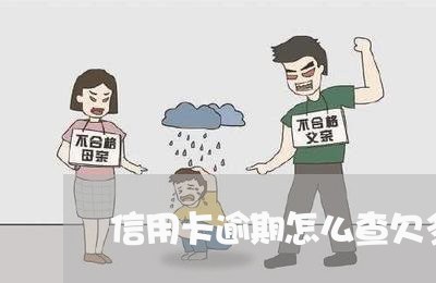 信用卡逾期怎么查欠多少/2023100894015