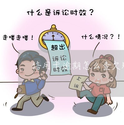 信用卡逾期怎么查欠账/2023112676258