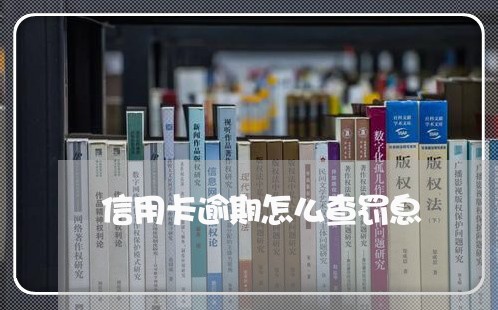 信用卡逾期怎么查罚息/2023072259460