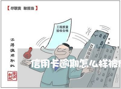 信用卡逾期怎么样被催收/2023111639360