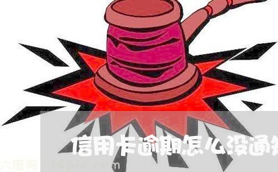 信用卡逾期怎么没通知客户/2023121884937