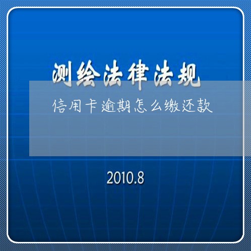 信用卡逾期怎么缴还款/2023112583725