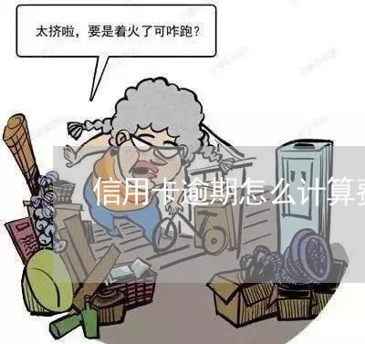 信用卡逾期怎么计算费率/2023112807461