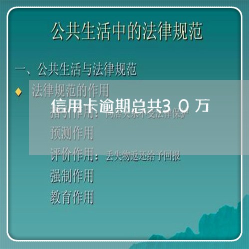 信用卡逾期总共30万/2023112893726