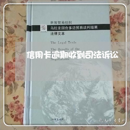 信用卡逾期收到司法诉讼/2023100657381