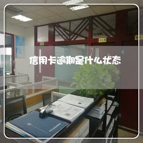 信用卡逾期是什么状态/2023062059381