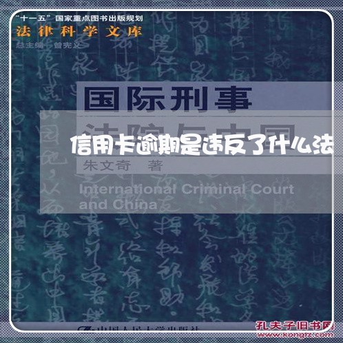 信用卡逾期是违反了什么法/2023060542028