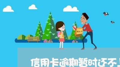 信用卡逾期暂时还不上怎么办呀/2023072204939