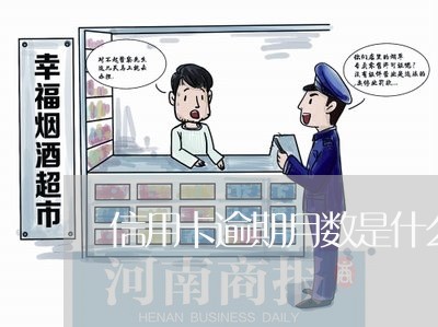 信用卡逾期月数是什么意思/2023050266258