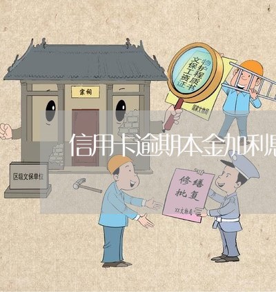 信用卡逾期本金加利息总数/2023050353925