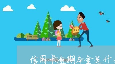 信用卡逾期本金是什么意思/2023050142715