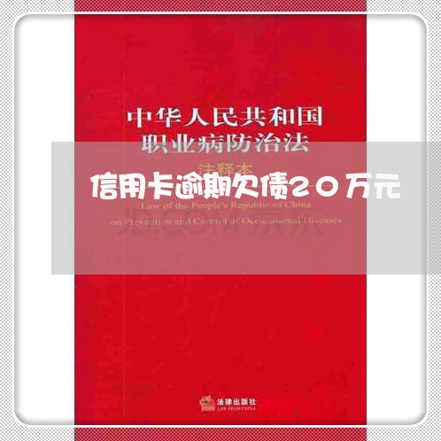 信用卡逾期欠债20万元/2023121696838