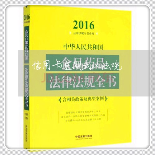 信用卡逾期武汉法院/2023061093703