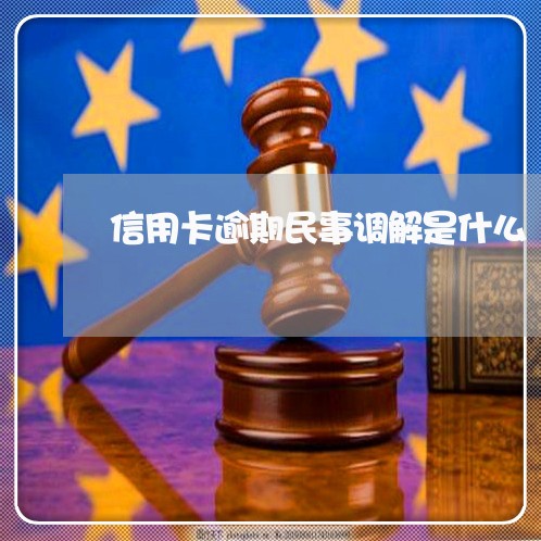 信用卡逾期民事调解是什么/2023100806350