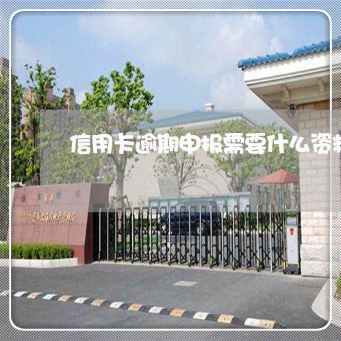 信用卡逾期申报需要什么资料/2023091371638