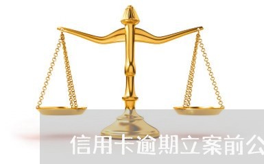 信用卡逾期立案前公安催款/2023100883625