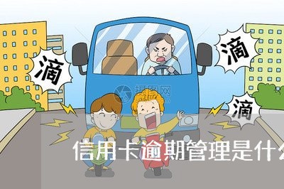 信用卡逾期管理是什么意思/2023121898160