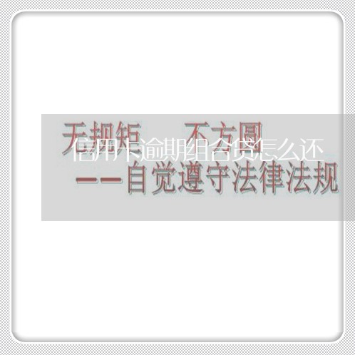 信用卡逾期组合贷怎么还/2023060114026