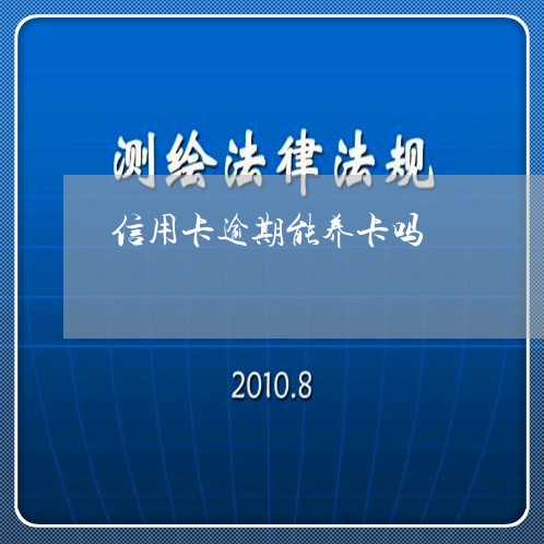 信用卡逾期能养卡吗/2023112429361