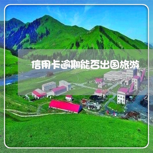 信用卡逾期能否出国旅游/2023112448350