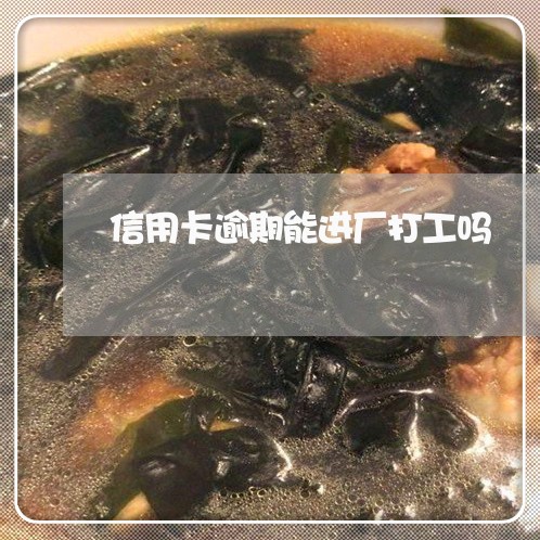 信用卡逾期能进厂打工吗/2023120652594