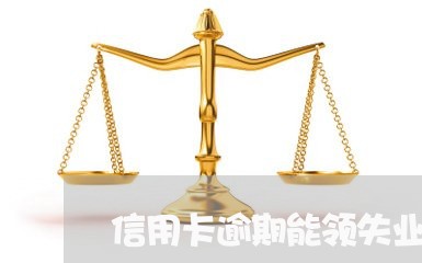 信用卡逾期能领失业金嘛/2023062789805