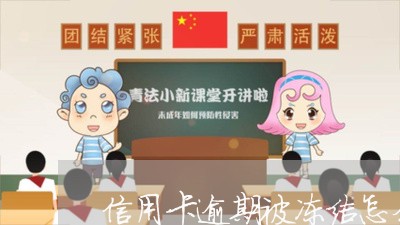 信用卡逾期被冻结怎么恢复/2023100558482