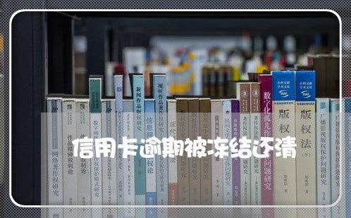 信用卡逾期被冻结还清/2023112508361