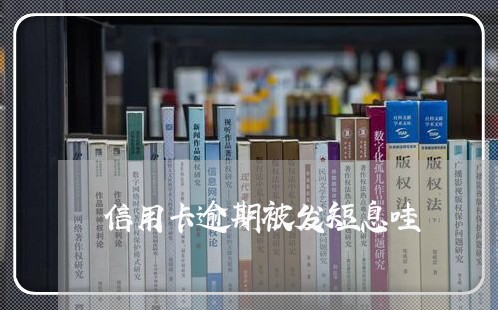 信用卡逾期被发短息哇/2023120651492