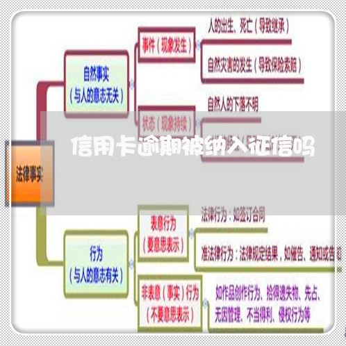 信用卡逾期被纳入征信吗/2023060329273