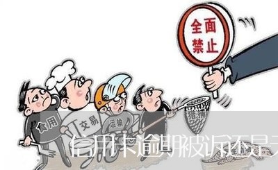 信用卡逾期被诉还是无力偿还/2023121748248