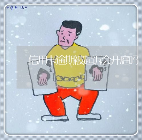 信用卡逾期被起诉会开庭吗/2023070957160