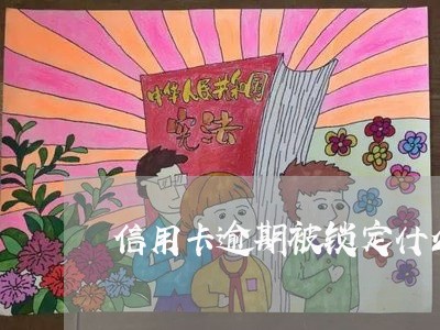 信用卡逾期被锁定什么意思/2023121994020