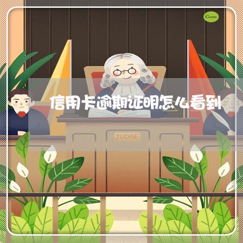 信用卡逾期证明怎么看到/2023062895827