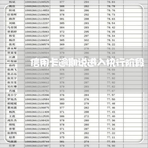 信用卡逾期说进入执行阶段/2023100872616