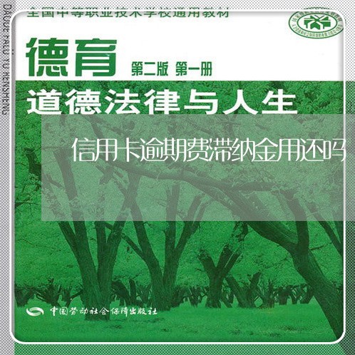 信用卡逾期费滞纳金用还吗/2023120561682