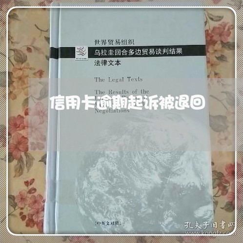 信用卡逾期起诉被退回/2023111530604