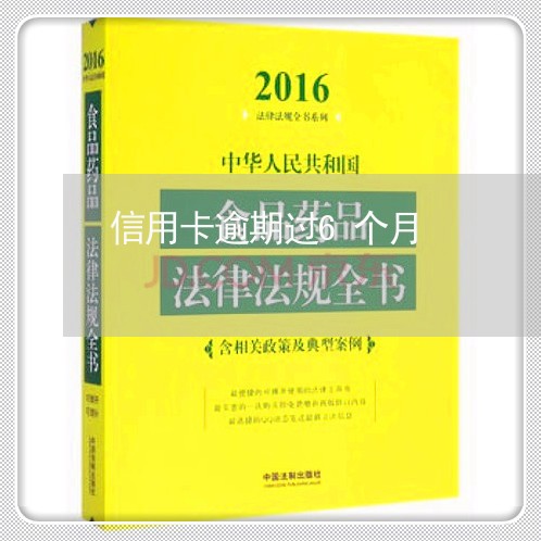 信用卡逾期过6个月/2023061095826