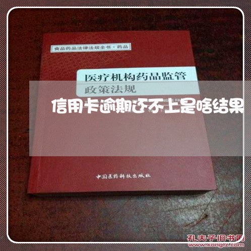 信用卡逾期还不上是啥结果/2023121627159