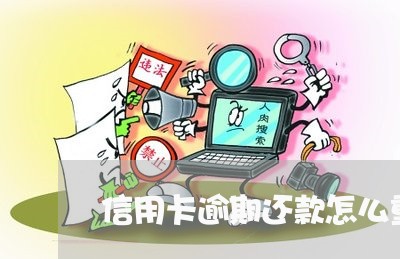 信用卡逾期还款怎么重组/2023051093827