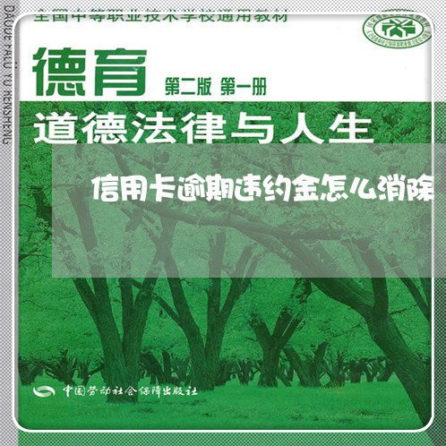 信用卡逾期违约金怎么消除/2023121907037