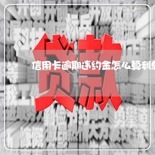 信用卡逾期违约金怎么算利息/2023050541826