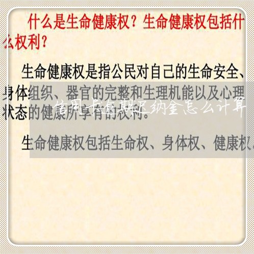 信用卡逾期迟纳金怎么计算/2023121526461