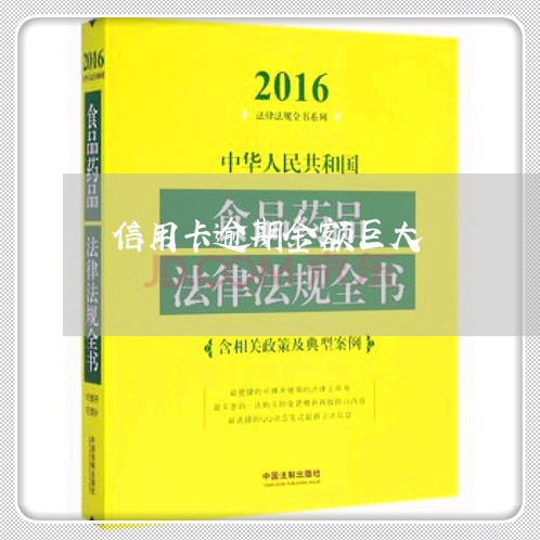 信用卡逾期金额巨大/2023112188382