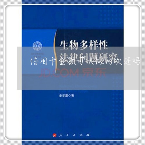 信用卡金额可以做两次还吗/2023072154847